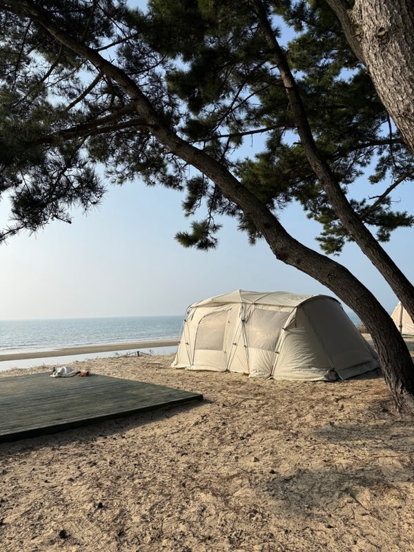 [태안 여행] 오션뷰 명당 데크 태안 노을숲캠핑장 내돈내산 후기