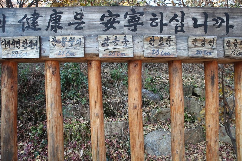 비학농원캠핑장 시설 사진 2