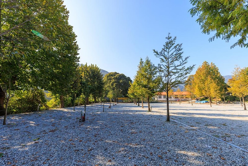 시골학교캠핑장 시설 사진 5