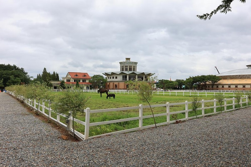 베르아델 승마클럽 시설 사진 10