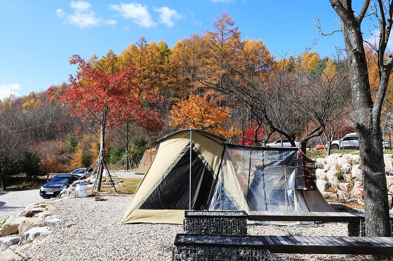 삼남매와 뭉치네 캠핑장 시설 사진 4