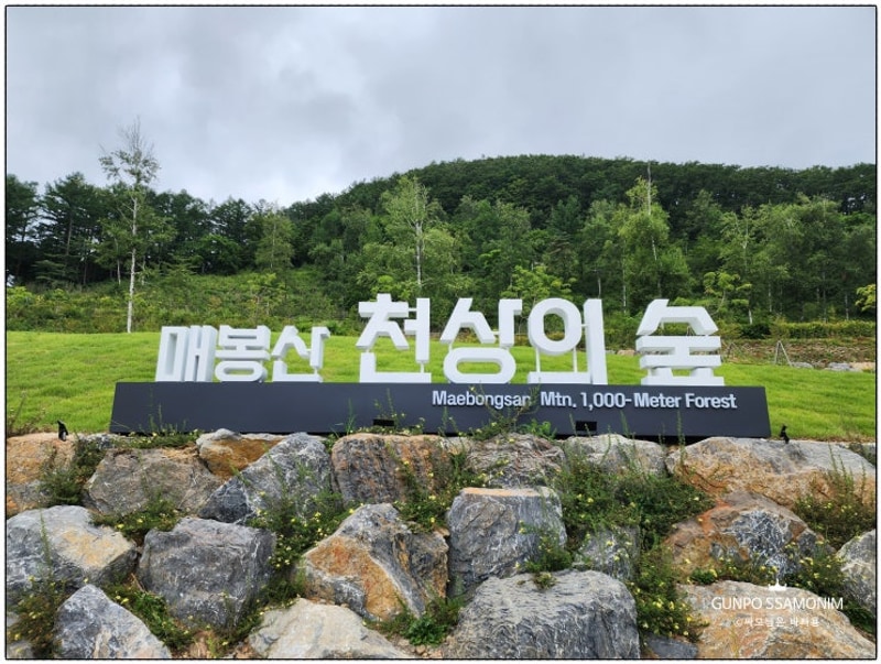 태백 매봉산 천상의 숲 캠핑장 A사이트 명당 완벽 분석!