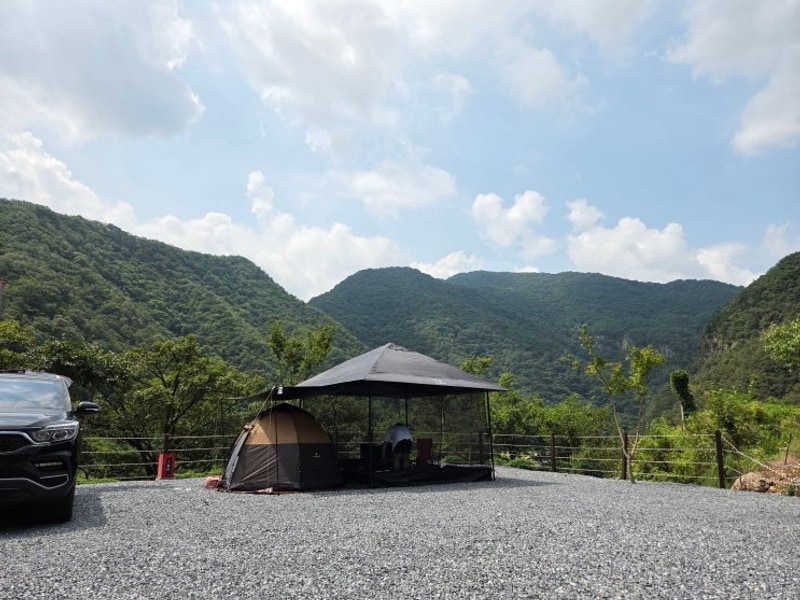 [평창 애견동반 캠핑장] 백룡 야영장 | 동강뷰 맛집, 애견동반
