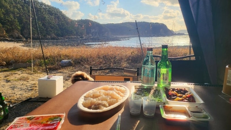 태안 애견동반 캠핑장 서해땅끝파도리아치내캠핑장 내돈내산...