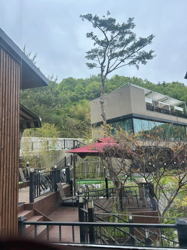 [내돈내산]천안-오시유 캠핑장