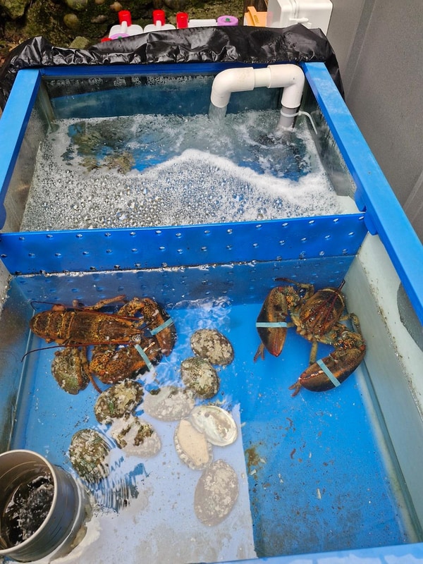 제니캠핑장 시설 사진 4