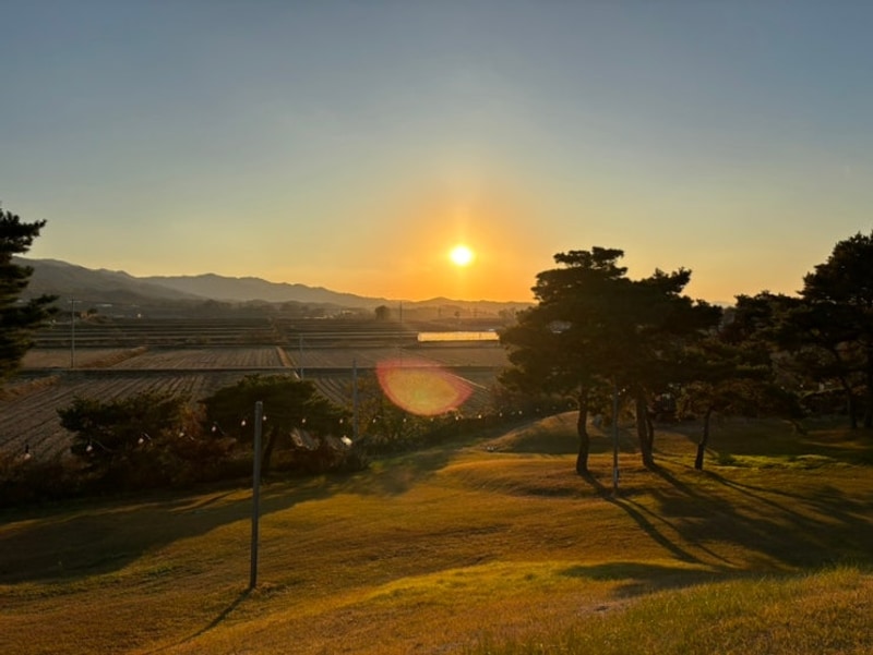 11월 기록(댑싸리공원/청주여행/청남대/초정힐링캠핑장/김장...