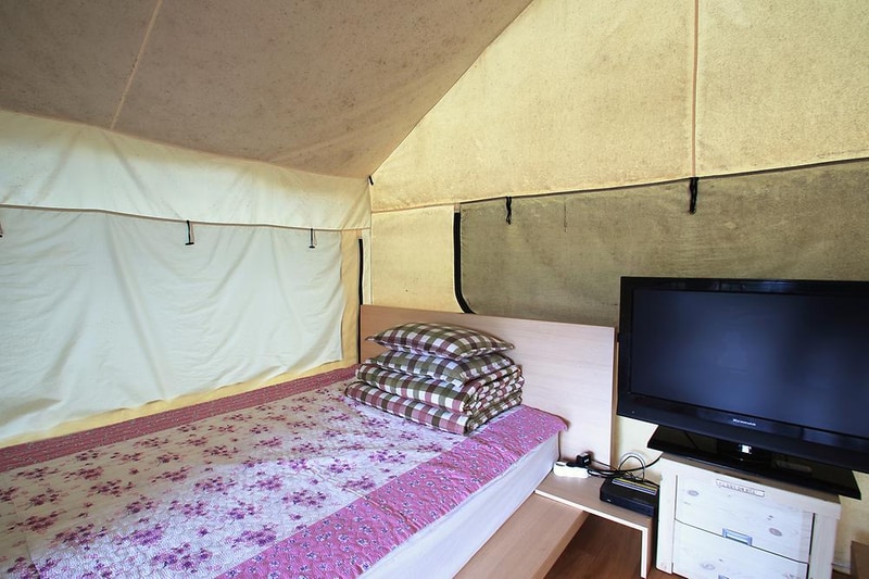 태라 글램핑 시설 사진 12