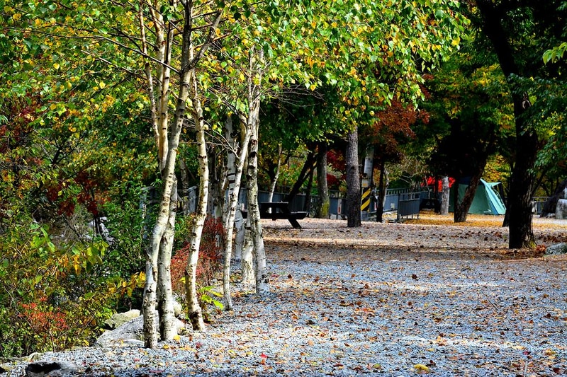 또올래캠핑장 시설 사진 12