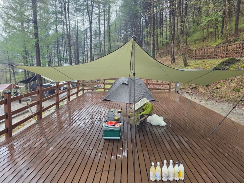 25.04.22~23 강원도 화천 만산동 국민여가 캠핑장 캠핑