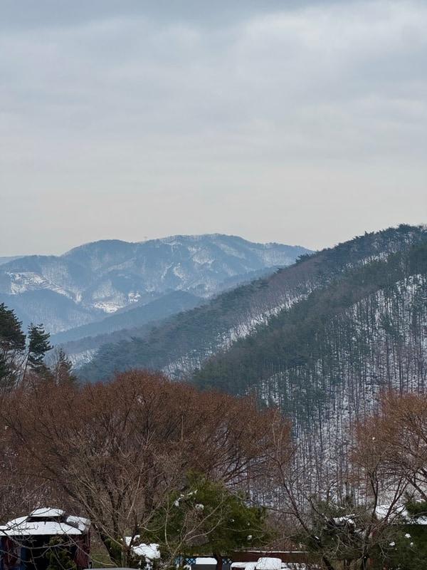 천안 글램핑장 '오시유' 후기