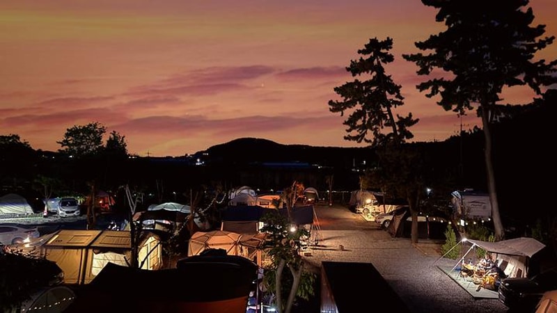 별빛갯벌캠핑장 대표 사진