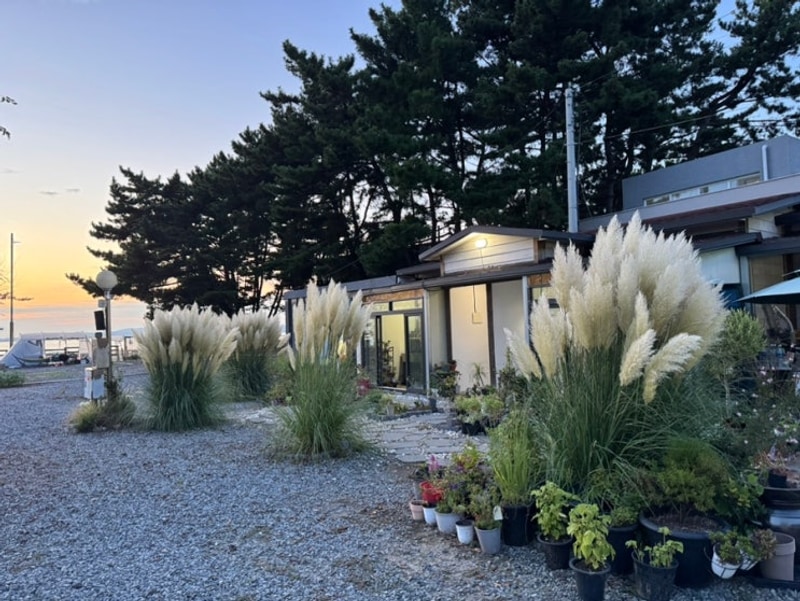 태안 꿈꾸는 바다 캠핑장