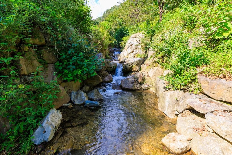 숲에안기다 시설 사진 10