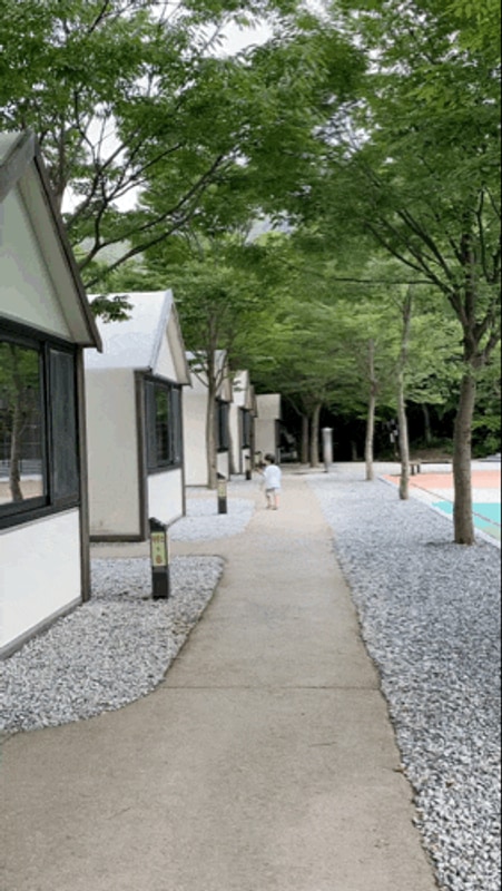 [전북 정읍] 내장산국립공원 내장야영장 특화야영장 솔막 명당...