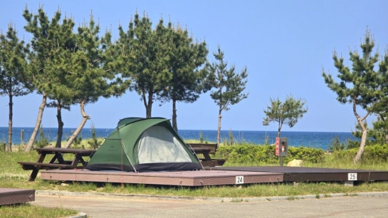 고성 뚜벅이 캠핑 여행. 바다뷰 송지호오토캠핑장 그리고...