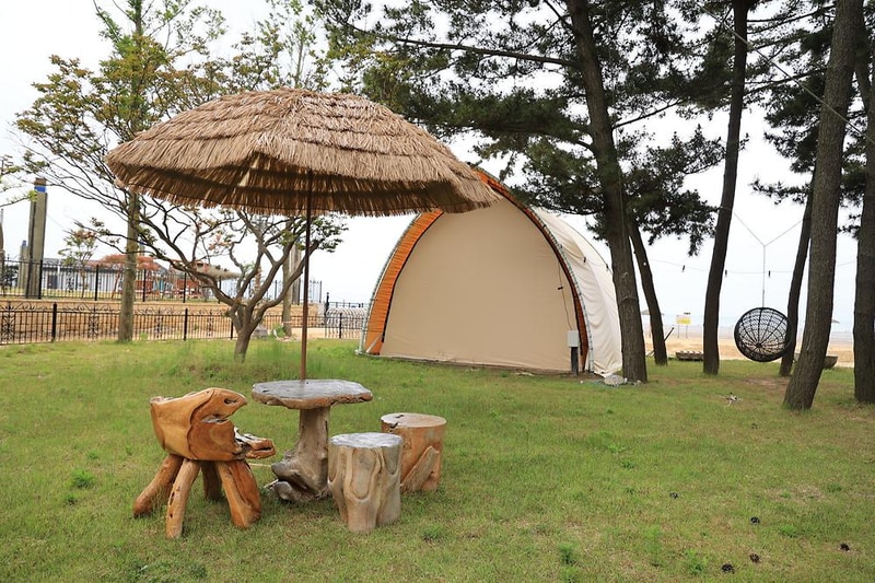 청포대솔밭야영장 시설 사진 5