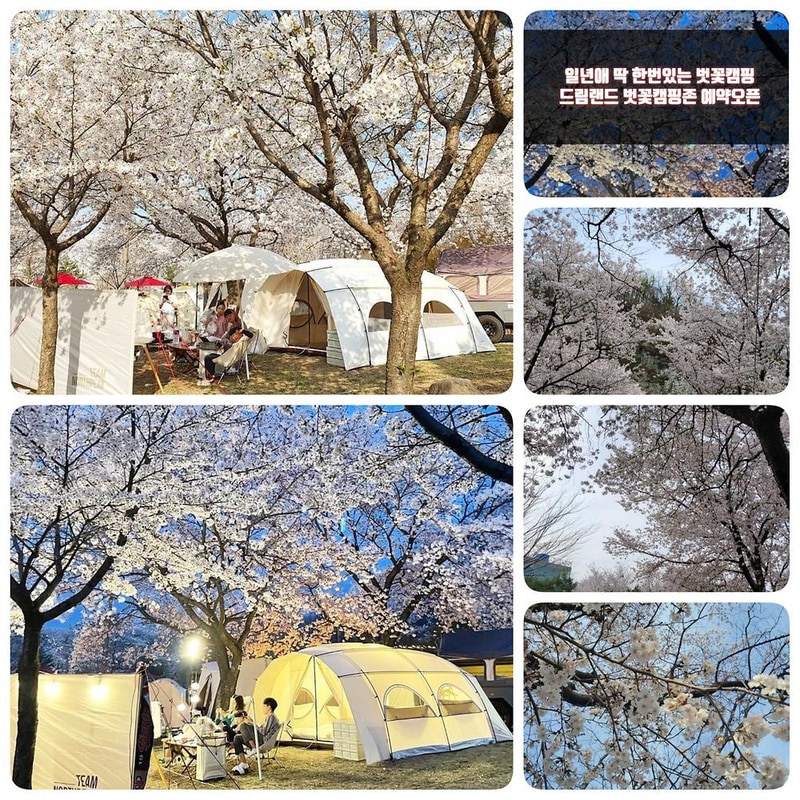 드림랜드오토캠핑장 시설 사진 1