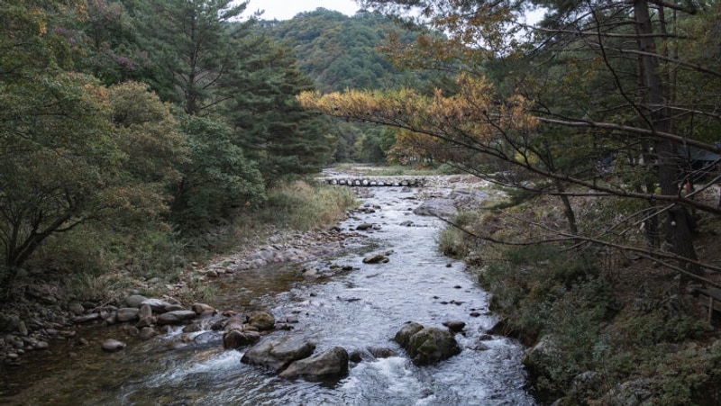 홍천 캠핑 여행 (물가솔솔 캠핑장 티켓투더문 해먹 후기)