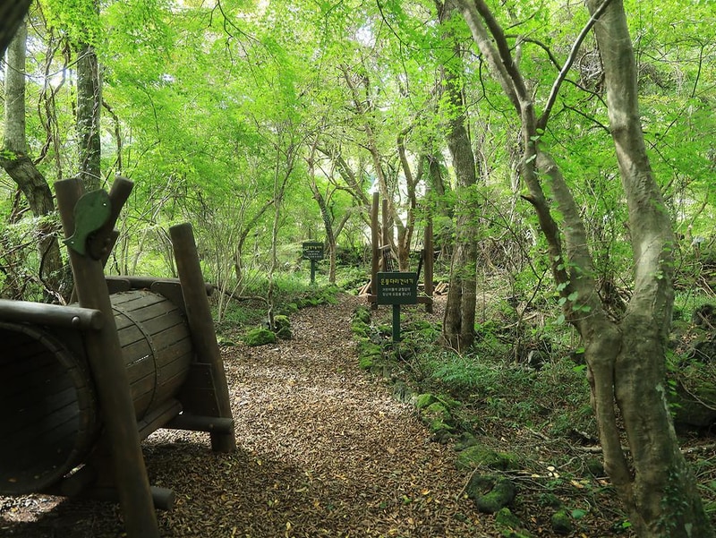 교래자연휴양림야영장 시설 사진 3