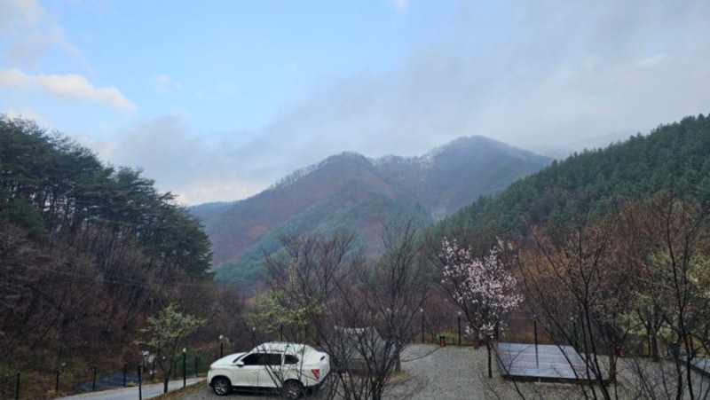 [캠핑] 강원도 화천 : 휴캠핑장 - C2 (타프존) / 쑥전...