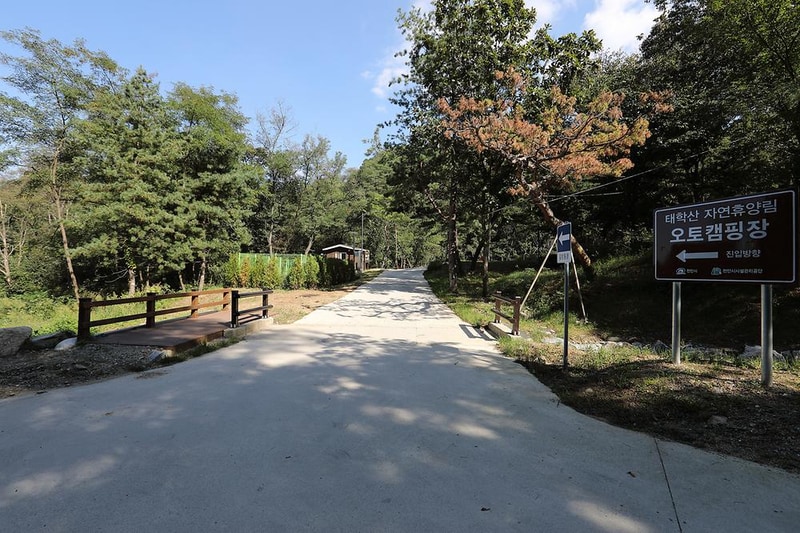 태학산 자연휴양림 오토캠핑장 시설 사진 19