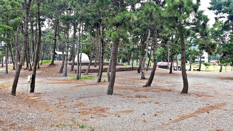 어은돌야영장 시설 사진 10