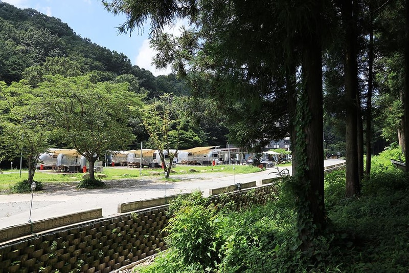 선인장 시설 사진 8