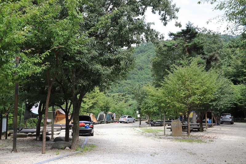 국립검봉산자연휴양림야영장 시설 사진 6