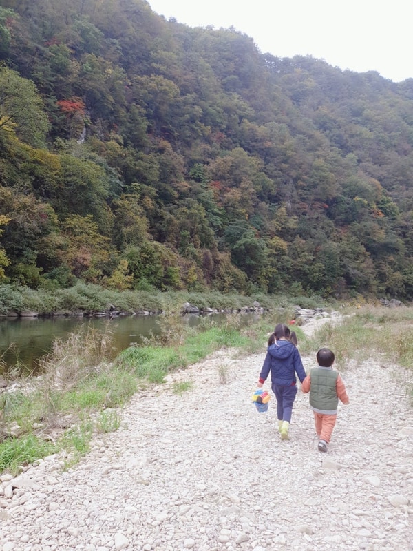 강원도 선착순 캠핑장｜뷰가 아름다운 영월 리버힐즈 캠핑장 후기