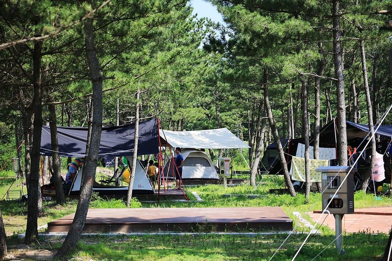 자작도캠핑장 시설 사진 5