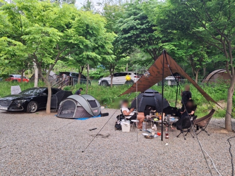 [서울근교캠핑] 파주 '산머루농원 캠핑장' 고라니B11...