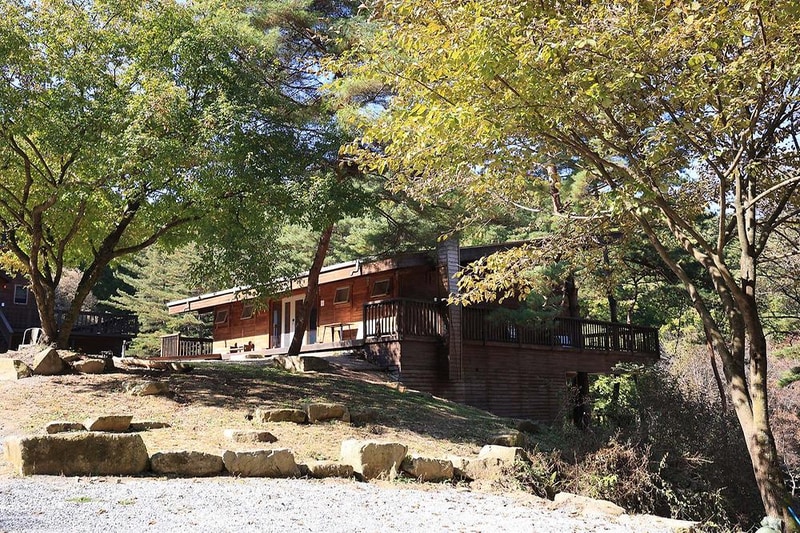 숲속행성 시설 사진 14