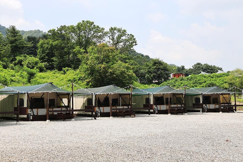 포레스트 캠핑장 시설 사진 10