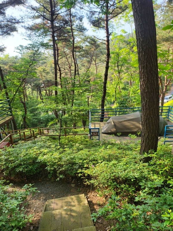 특별한 경험을 하게해준 태안캠핑장 올레유