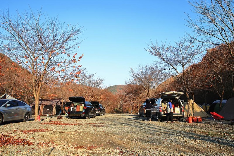 곤달비캠프 시설 사진 9