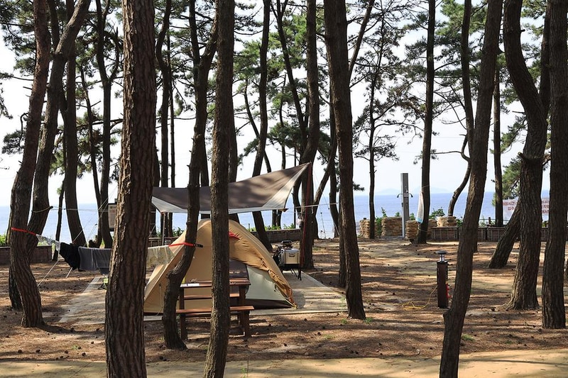 고사포야영장 시설 사진 2