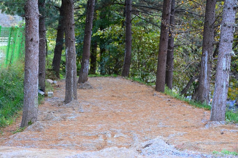 가평 물골숲 계곡 캠핑장 시설 사진 2