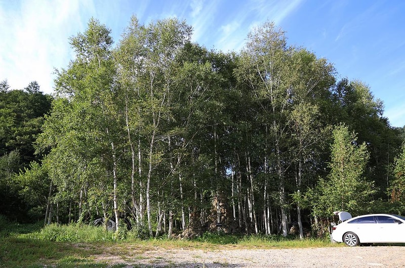 오아시스정글 시설 사진 9