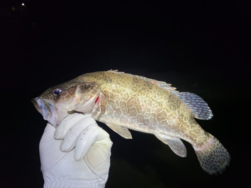 손맛과 캠핑을 동시에?! 영월 동강 오토캠핑장 포인트 쏘가리 낚시