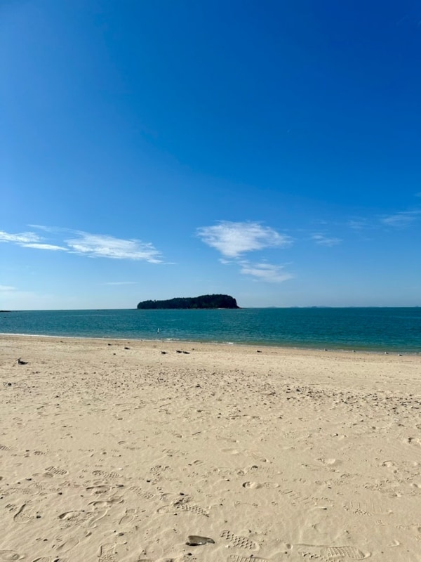 [충남/보령] 무창포해수욕장 이안힐링랜드 캠핑 먹부림