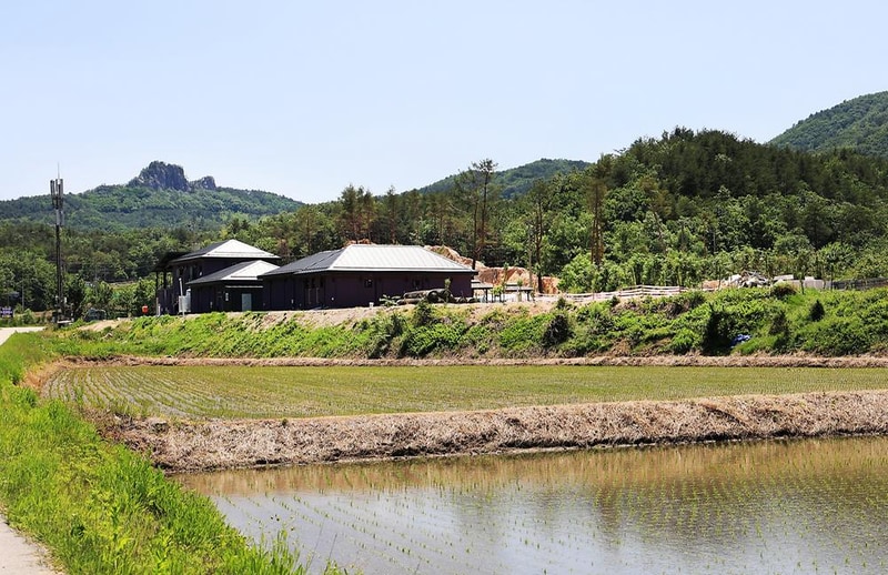 고성라벤더 캠핑장 시설 사진 14