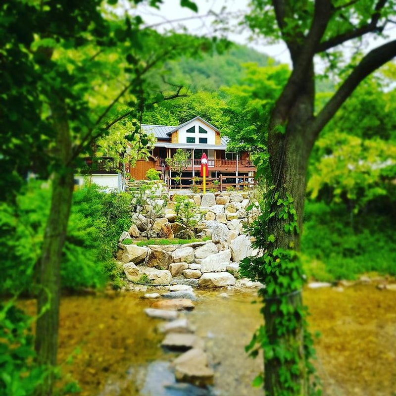 양양 포레스트캠핑장 대표 사진