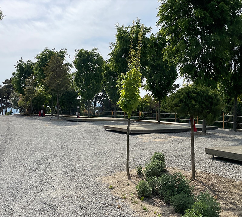 파이브이모션관광농원 시설 사진 15