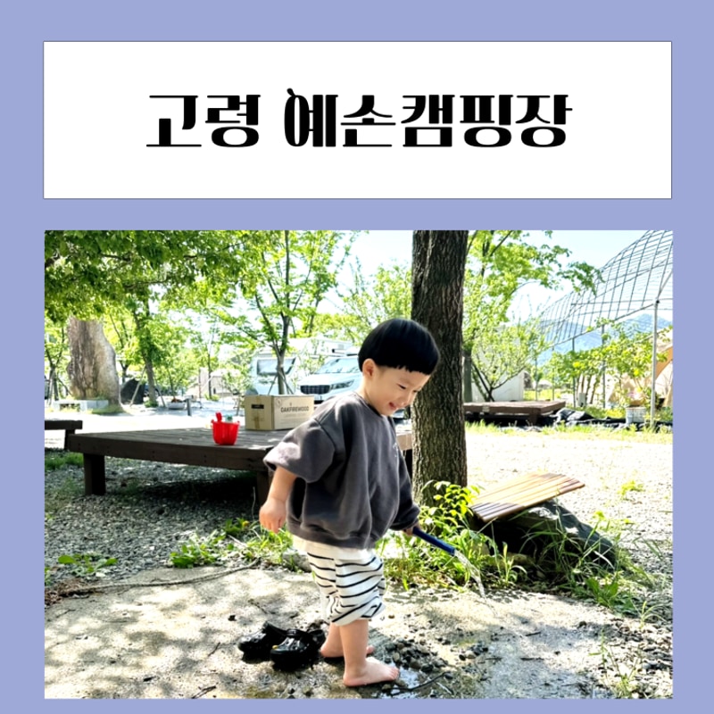 예손캠핑장 예마을 대구인근 고령 캠핑장 후기