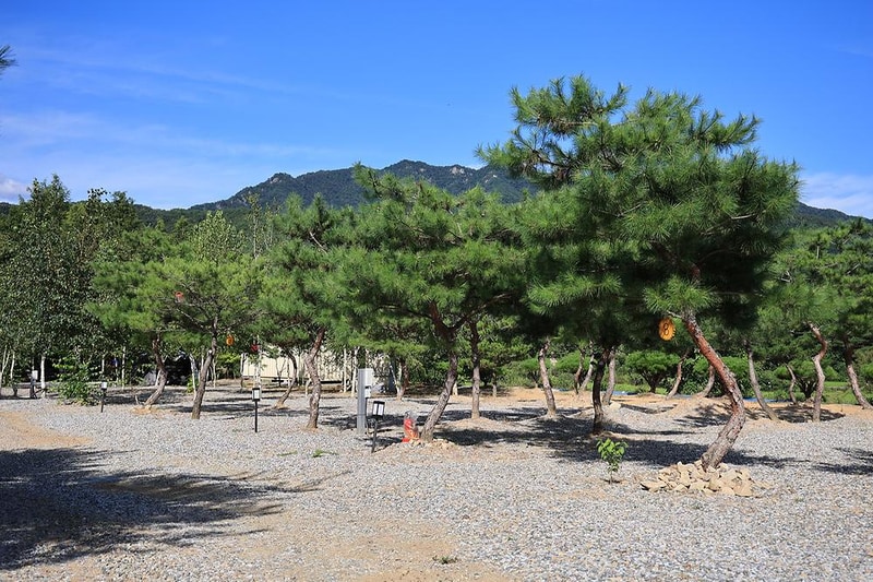 사발소캠핑장 시설 사진 9