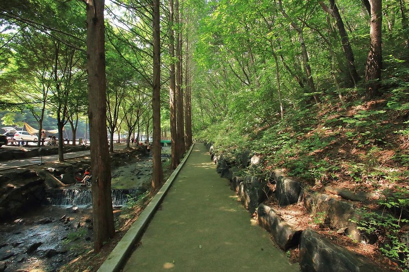 칠갑산 자연휴양림 시설 사진 5