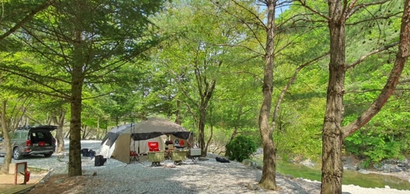 원주 한스 캠핑장