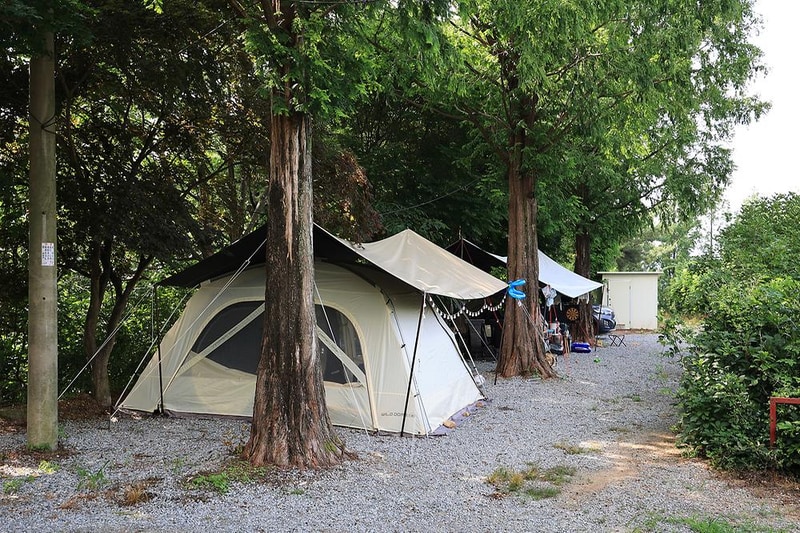 산머루농원캠핑장 시설 사진 3