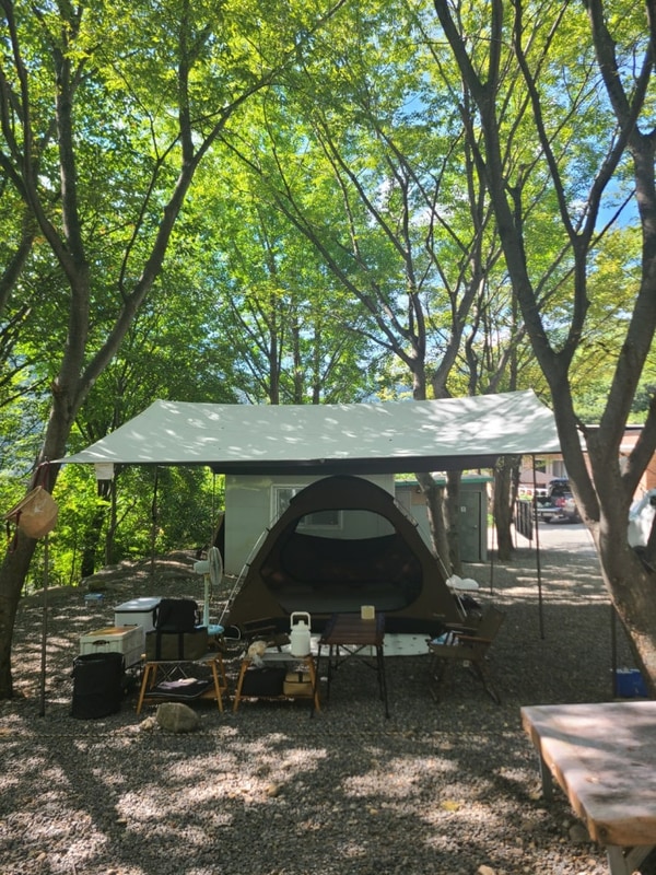 #25-13 청도 약초농원캠핑장 [B1]